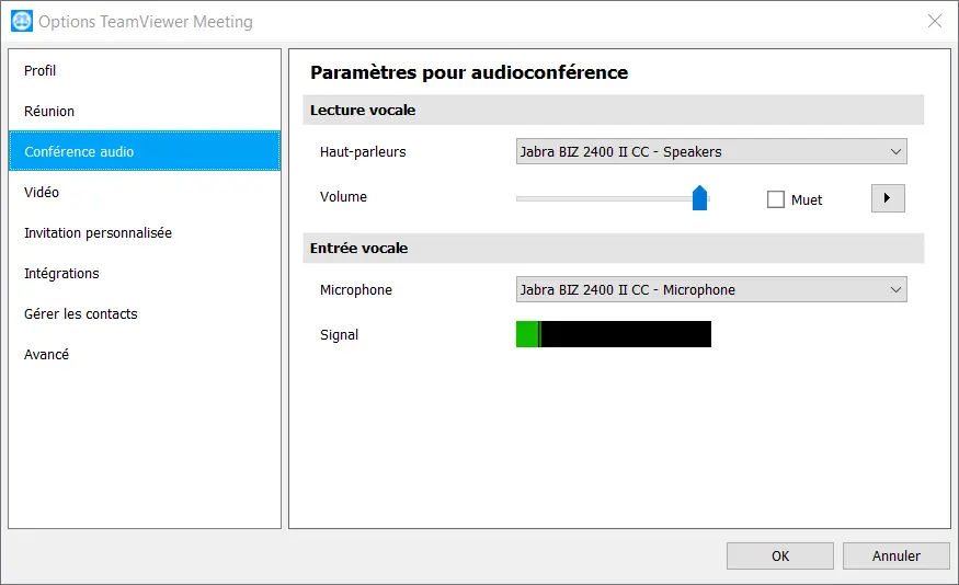 2021 03 10 15 15 35 Options TeamViewer Meeting