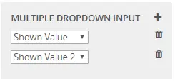 Config Multiple Dropdown