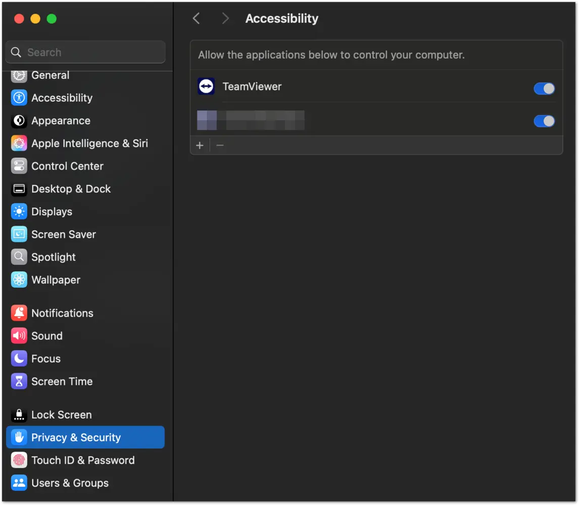 System Preference Accessibility