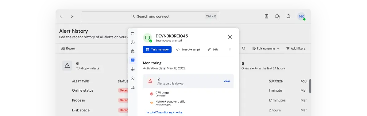 AEM features as seen in the TeamViewer client