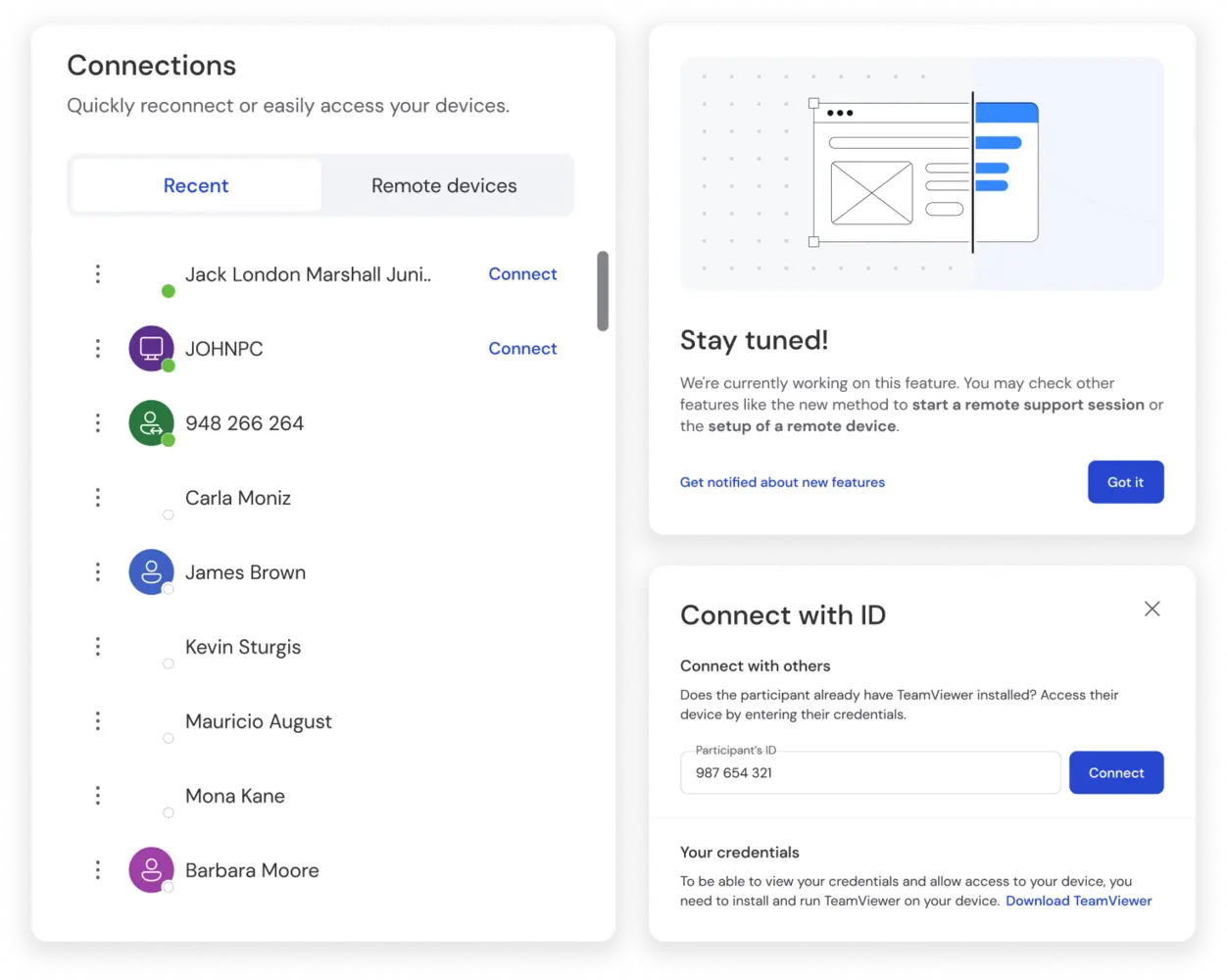 TeamViewer client screenshot with features for remote work and support